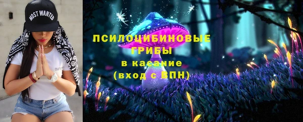 спайс Кострома