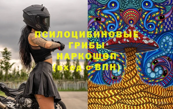 первитин Лабытнанги