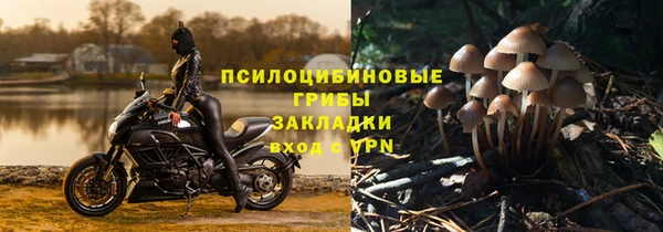 apvp Ладушкин